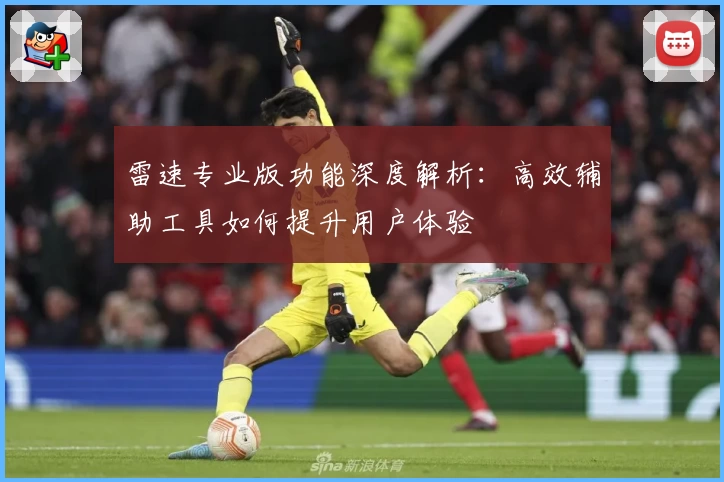 雷速专业版功能深度解析：高效辅助工具如何提升用户体验