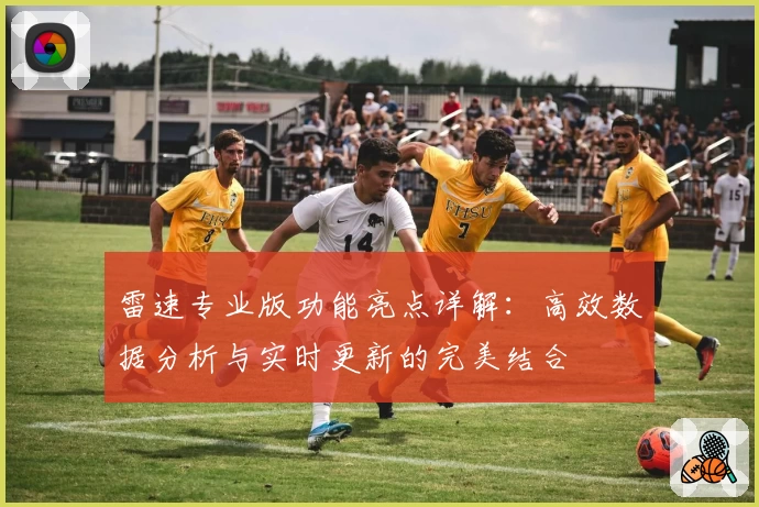 雷速专业版功能亮点详解：高效数据分析与实时更新的完美结合