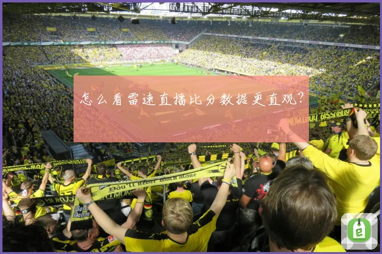 怎么看雷速直播比分数据更直观？