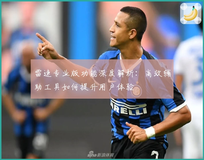 雷速专业版功能深度解析：高效辅助工具如何提升用户体验
